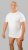 20 Nodi Mezzogiorno Sports T-Shirt White - Tričká - Nadrozmerné tričká - 2XL-14XL