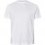 North Latitude T-Shirt 2-Pack White - Tričká - Nadrozmerné tričká - 2XL-14XL