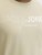 Jack & Jones Blaneo Short Sleeve T-shirt Beige - Tričká - Nadrozmerné tričká - 2XL-14XL