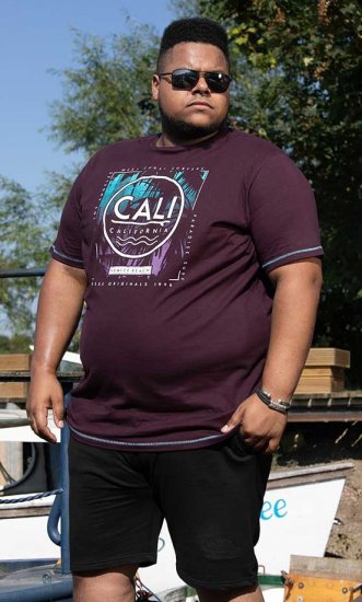 D555 NOVA Cali Surf Printed Crew Neck T-Shirt Plum - Tričká - Nadrozmerné tričká - 2XL-14XL