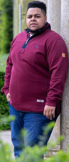 D555 HIRALDO Quarter Neck Pique Fleece Sweatshirt With Chest Embroidery Red - Mikiny & mikiny bez kapucne - Mikiny & Mikiny s Kapucňou 2XL-12XL