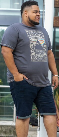 D555 HANLEY Official Pink Floyd Crew Neck T-Shirt Dark Grey - Tričká - Nadrozmerné tričká - 2XL-14XL