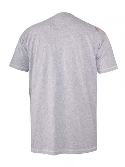 D555 Bathurst Custom Classics Motorbike Printed T-Shirt Grey - Tričká - Nadrozmerné tričká - 2XL-14XL
