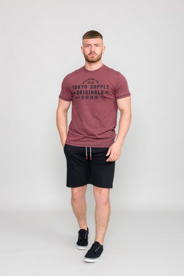 D555 LINTON Printed T-Shirt - Tričká - Nadrozmerné tričká - 2XL-14XL