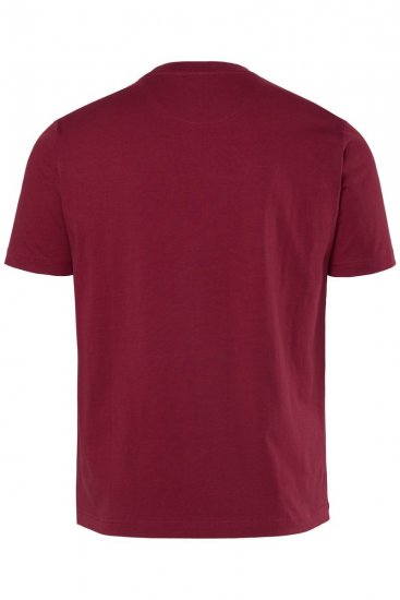 Men+ 219 Tričko Palmy Medenohnedá - Tričká - Nadrozmerné tričká - 2XL-14XL