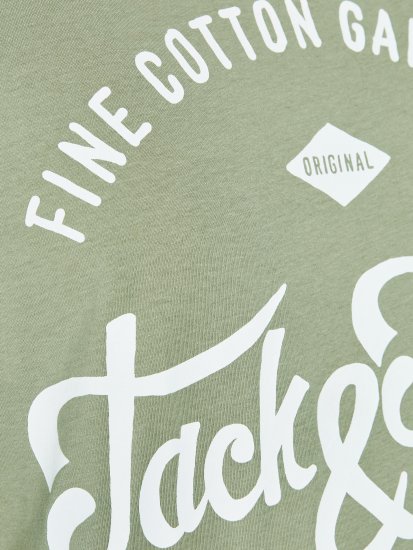 Jack & Jones JJERAFA TEE Light Green - Tričká - Nadrozmerné tričká - 2XL-14XL