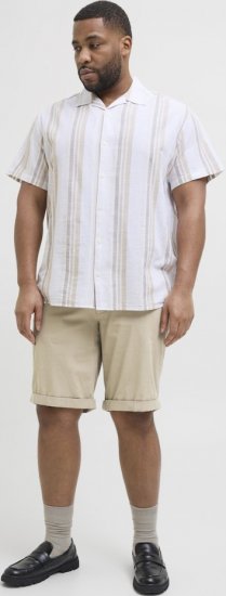 Jack & Jones Dave Chino Shorts Beige - Šortky - Šortky W40-W60