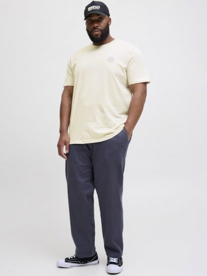 Jack & Jones Jackie Crew Neck T-Shirt Moonbeam - Tričká - Nadrozmerné tričká - 2XL-14XL