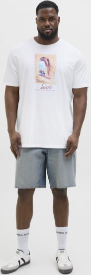 Jack & Jones Hydra Crew Neck T-Shirt Bright White - Tričká - Nadrozmerné tričká - 2XL-14XL