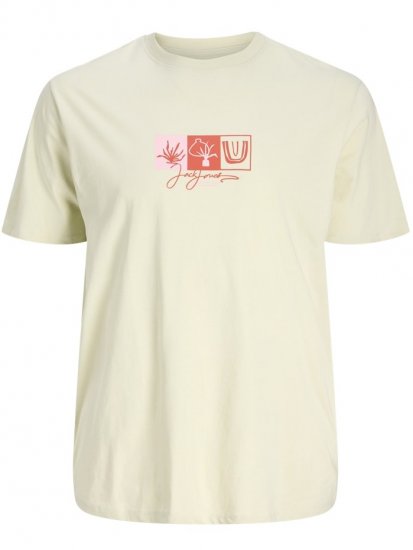 Jack & Jones Canggu Crew Neck T-Shirt Celadon Tint - Tričká - Nadrozmerné tričká - 2XL-14XL