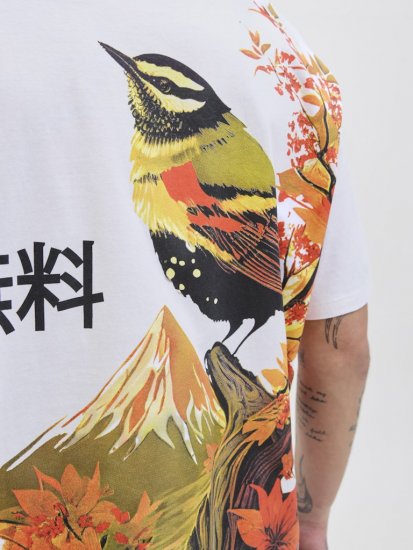 Jack & Jones Fuji Crew Neck T-Shirt Bright White - Tričká - Nadrozmerné tričká - 2XL-14XL