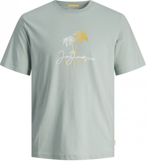 Jack & Jones JORCASEY T-Shirt Crew Neck Gray Mist - Tričká - Nadrozmerné tričká - 2XL-14XL