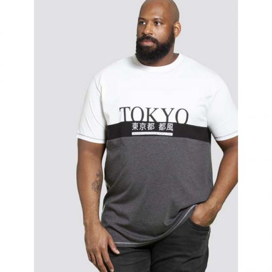 D555 Morris T-shirt Charcoal - Tričká - Nadrozmerné tričká - 2XL-14XL