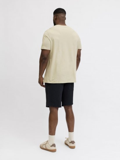 Jack & Jones Blaneo Short Sleeve T-shirt Beige - Tričká - Nadrozmerné tričká - 2XL-14XL