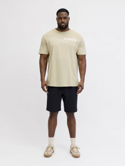 Jack & Jones Blaneo Short Sleeve T-shirt Beige - Tričká - Nadrozmerné tričká - 2XL-14XL